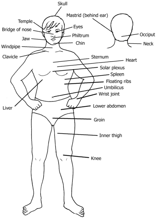 vital spots of the body - basic vital spots