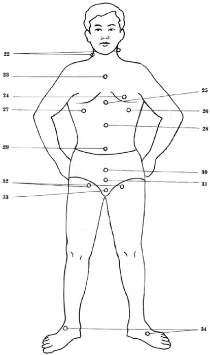 vital spots of the body - front view