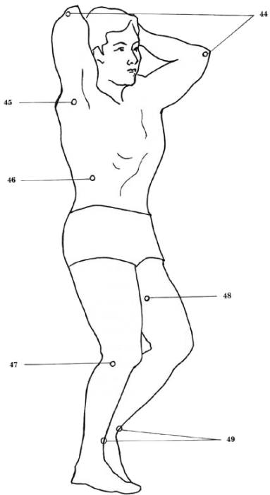 vital spots of the body - side view