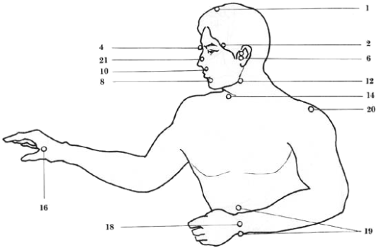 vital spots of the body - upper body