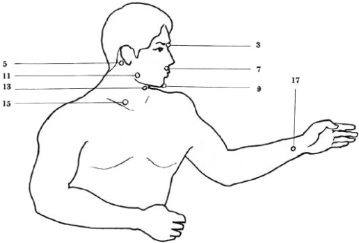 vital spots of the body - upper body